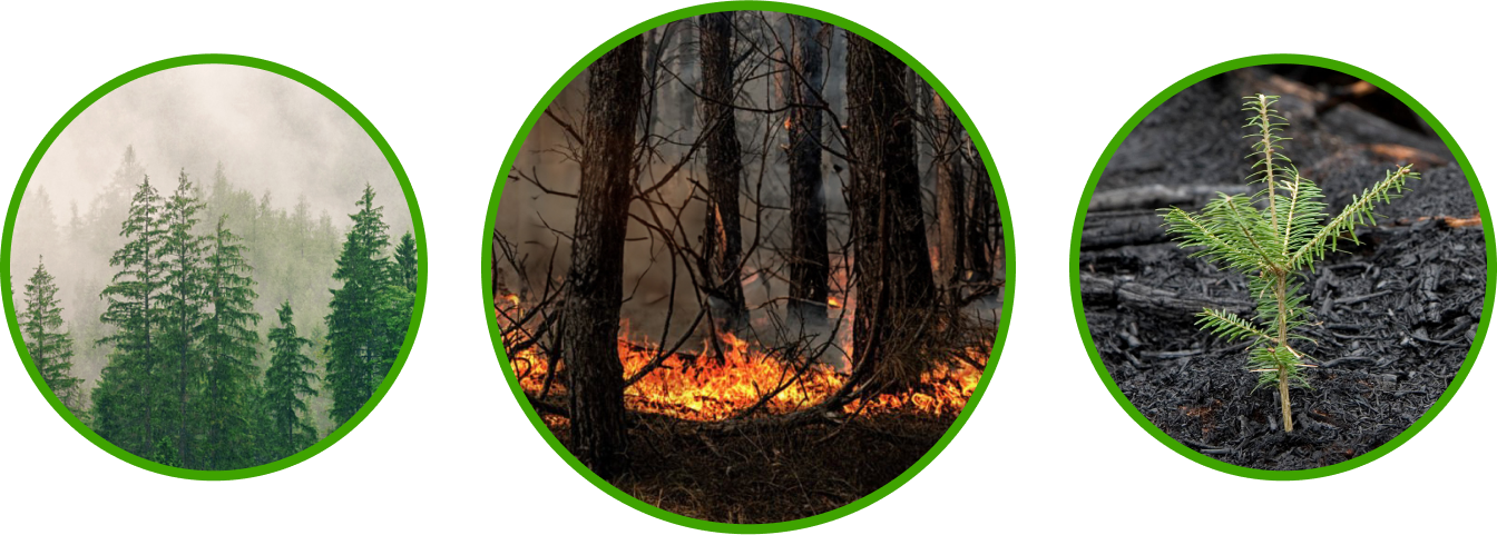 Yoigo LUZ y GAS - Cosas que cambian las cosas