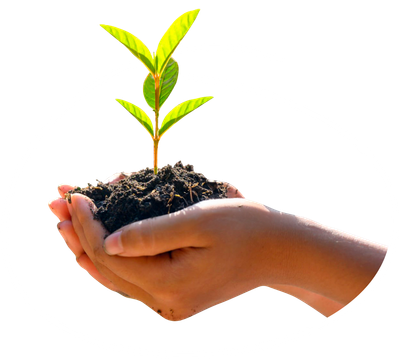 Yoigo LUZ y GAS - Compensamos la huella de carbono, juntos