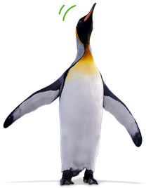 Ilimitado. Más amigos, más descuentos