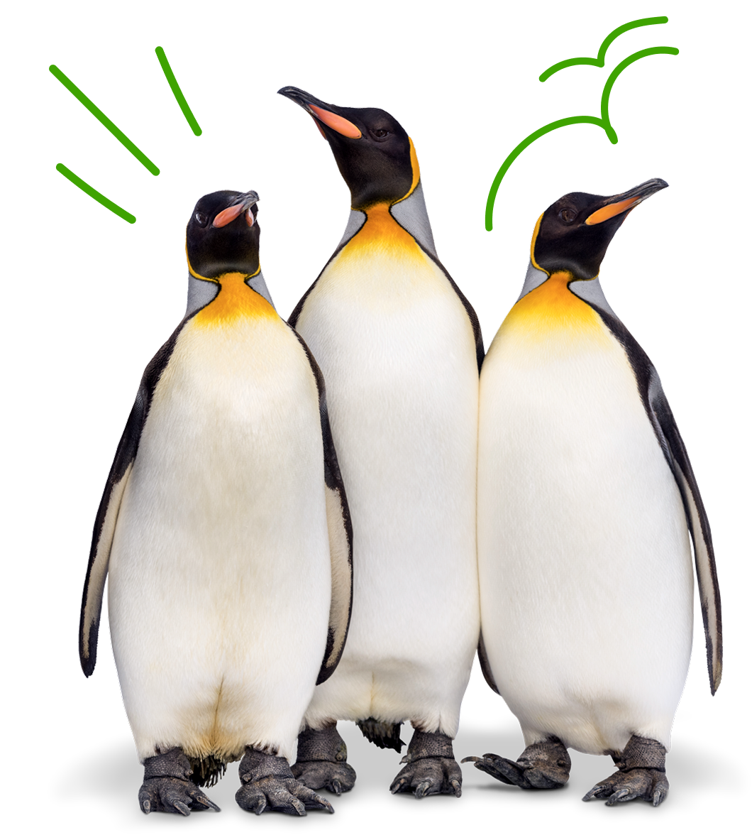 Yoigo LUZ y GAS - Plan amigo. Más amigos, más recompensa.