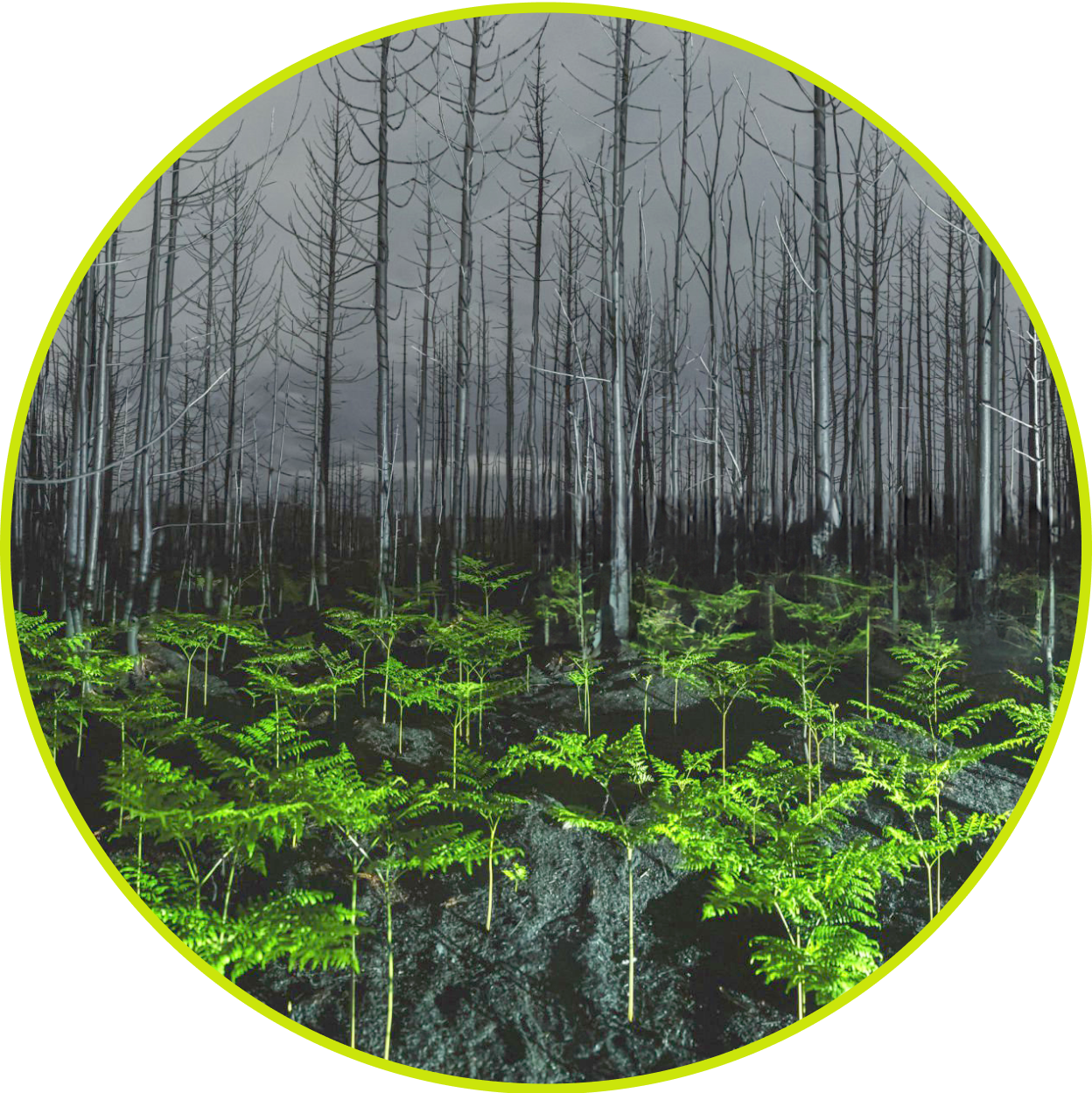 Yoigo LUZ y GAS - Cosas que cambian las cosas