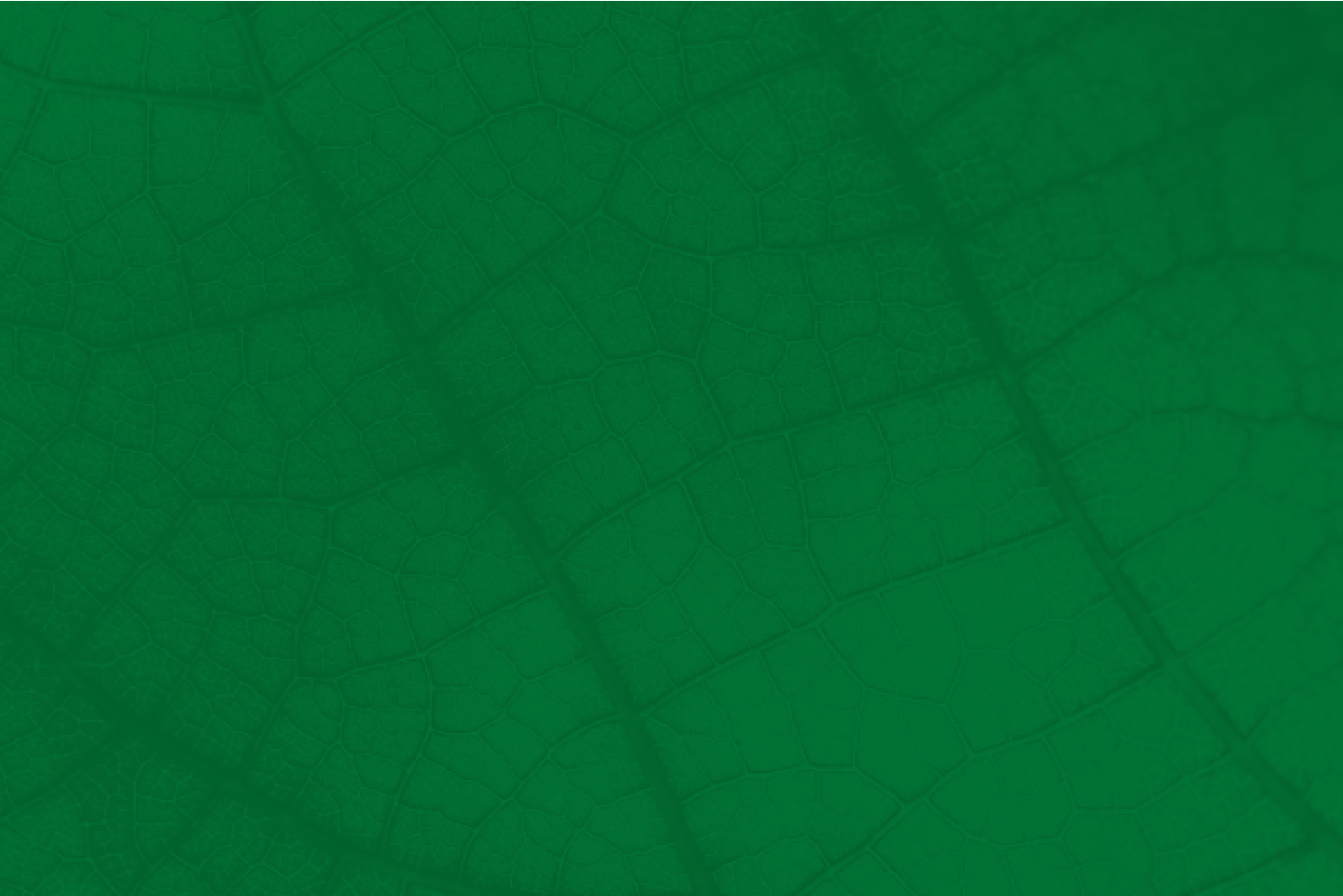 Yoigo LUZ y GAS - Tarifa de LUZ y GAS